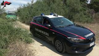 Intervento carabinieri contro linquinamento ambientale sequestrato canalone a San Pietro Lametino [upl. by Cleodal34]