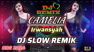 CAMELIA  IRWANSYAH  DJ SLOW REMIK ORG 2024 [upl. by Yseulta]