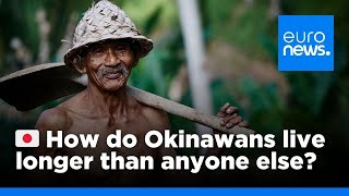 How do Okinawans live longer than anyone else  euronews 🇬🇧 [upl. by Nimzaj]