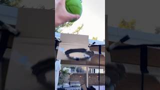 Bounced off the back layup basketball funny sports subscribe viralvideo [upl. by Dermot]