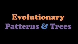 Evolutionary Patterns and Trees [upl. by Tabatha]