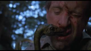 jurassic park lost world stark death scene [upl. by Yrannav]