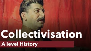 Collectivisation in the USSR  A level History [upl. by Hermie]