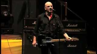 The Stranglers  Golden Brown live [upl. by Chandless]