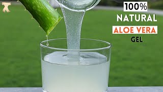 How To Make Pure Aloe Vera Gel amp Store it For Months With No Preservatives  DIY [upl. by Rowan]