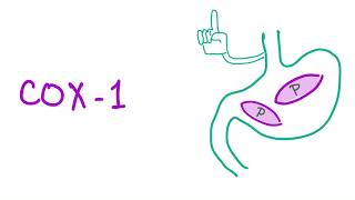 Cyclooxygenase1 amp Cyclooxygenase2 COX 1 COX 2  All You Need To Know  Pharmacology [upl. by Nivlam481]