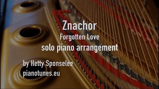 Znachor Forgotten Love  Pawel Lucewicz  PianoTuneseu [upl. by Bevash]