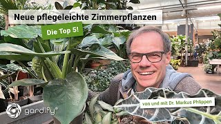 Top 5 – Pflegeleichte Zimmerpflanzen für zuhause  gardify Tipps [upl. by Pratt345]