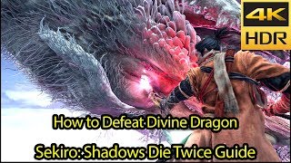 How to Defeat Old Dragons of the Tree  Divine Dragon Guide 4k HDR 60fps Sekiro Shadows Die Twice [upl. by Lefton]