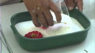 How to Use Silica Gel to Dry Flowers [upl. by Notnert339]