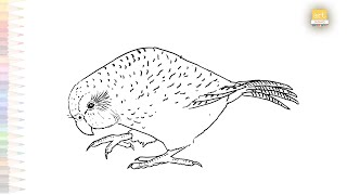 Kakapo parrot drawing  Kākāpō bird drawing  How to draw Kakapo bird step by step  Birds drawings [upl. by Voss]