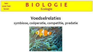 Biologie  Ecologie  Voedselrelaties symbiose coöperatie competitie en predatorprooirelatie [upl. by Oileve]