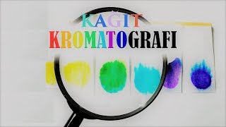 Kağıt Kromatografisi Deneyi [upl. by Gibert897]