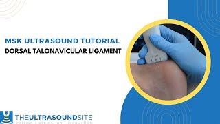 How to evaluate the midfoot for the dorsal talonavicular ligament on ultrasound [upl. by Daniell939]