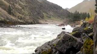 Jet Boat WIPES OUT On the Salmon River [upl. by Larrad]