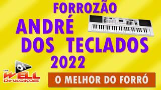 ANDRÉ DOS TECLADOS 2022  AGORA É PRA DANÇAR [upl. by Col]