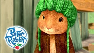 Peter Rabbit  Saving Cottontail  Cartoons for Kids [upl. by Ernaldus]