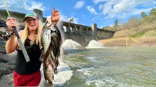 Catching SPILLWAY SLABS SWAMP CATFISH and BIG BLUEGILL for a FEAST CATCH CLEAN and COOK [upl. by Sinnelg]