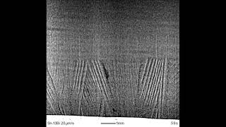 Columnar dendrites in SnBi alloy 13Bi [upl. by Alford580]