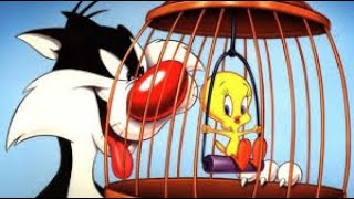 Tweety Ve Sylvester çizgi film türkçe [upl. by Ermengarde189]