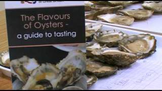 Oyster Tasting Guide [upl. by Ailehc]