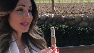 Highclere Castle Petit Corona Cigar Review [upl. by Salamone]