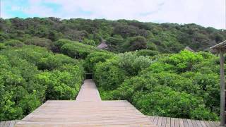 Die neuen Paradiese Südafrika  Im Regenbogenland Doku deutsch Arte [upl. by Maynard]