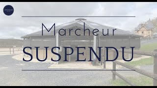 HIPPOCENTER  Marcheur modèle Suspendu [upl. by Adnulahs]