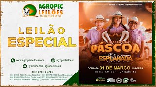 agropecleiloescom LEILÃO ESPECIAL PÁSCOA  ESPLANADA LEILÕES  CRIXÁSTO 31032024 [upl. by Neom]