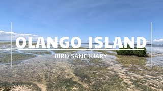 OLANGO ISLAND BIRD SANCTUARY [upl. by Elkraps]