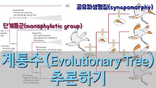 진화론 이해하기 10 계통수 추론하기 1 공유파생형질synapomorphy amp 단계통군monophyletic group [upl. by Ericksen]