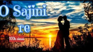 O Sajini Re ❣️।। beautiful hindi songs ।। 💕💕 [upl. by Ahsikin]