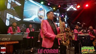 La Cobra  El Trenecito  Cumbia Caliente  Marimba Orquesta Sonora Ideal [upl. by Atsyrk407]