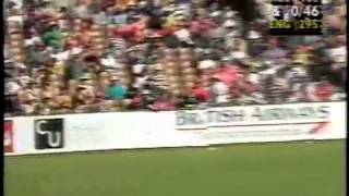 5th Ashes Test Perth Australia vs England 199495 [upl. by Adnima]