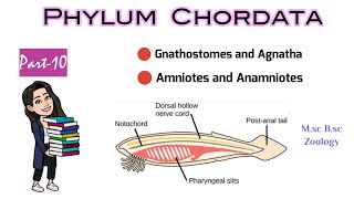 Part10 What are Gnathostomes amp AgnathaDifference between Anamniotes and AmniotesMSc BSc Zoology [upl. by Gehlbach]