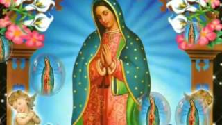 Virgen de Guadalupe La Guadalupana [upl. by Nnalyrehc]