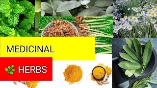 Medicinal plants and their uses Medicinal Herbs25Ayurvedic plants namesmedicalschool [upl. by Ydieh]