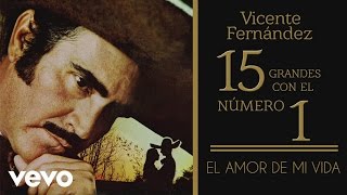 VICENTE FERNANDEZ ÉXITOS VOL 1 FULL AUDIO [upl. by Olenolin834]