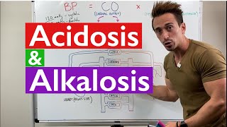 Acidosis and Alkalosis MADE EASY [upl. by Dail469]