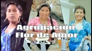 Mix Agrupación Flor de Amor 2017  Amor Eterno Orgullo [upl. by Anitsrhc121]