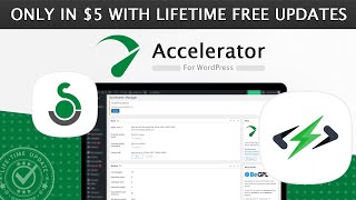 Seraphinite Accelerator Premium 22051  GPL Download with Lifetime Free Updates Avoid Nulled [upl. by Caniff]