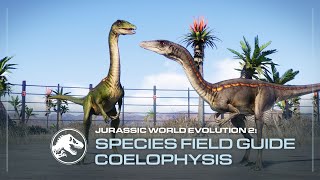 Species Field Guide  Coelophysis  Jurassic World Evolution 2 [upl. by Ecerahc]