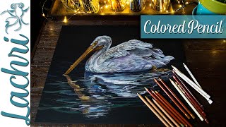 Colored Pencil blending layering and tips on black paper  Lachri [upl. by Dorelia819]