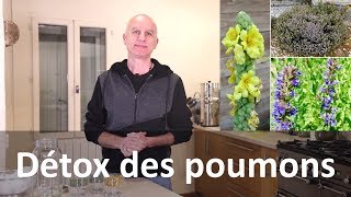 Détox des poumons avec les plantes  cigarette et pollution [upl. by Margaux]