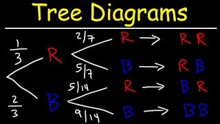 Probability Tree Diagrams [upl. by Picker]