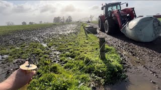 Cows Get Herded By Thunderstorms 3 Cows To Calve Last Bobby Calves of The Season [upl. by Ahouh495]