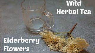 How to make elderberry flower tea [upl. by Lorimer897]