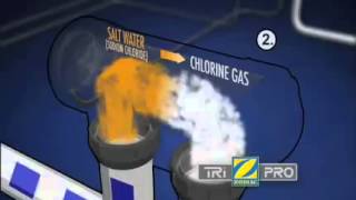 How to use the Zodiac TRi Salt Chlorinator [upl. by Clein440]