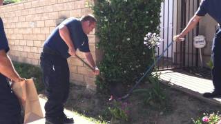 Fireman gets deadly bite from rattlesnake [upl. by Vally568]