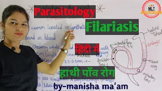 Filariasis हाथीपाँव  wuchereria bancrofti  Microfilaria  Mlt Lecture  Parasitology [upl. by Annahahs]